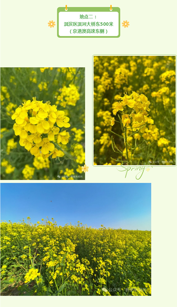 �����Ļ�Ĵ����ױ����顰��ơ���Ƭ����������🤳_04.jpg